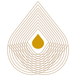 Logo de Noun Partners